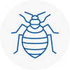Bed Bug Extermination In Newham