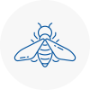 Bee Nest Removal Newham