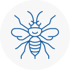 Newham Hornet Nest Removals