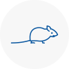 Mice Exterminators In Newham