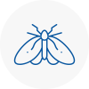 Moth Control Specialists In Newham