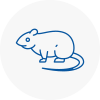 Rat Control Newham