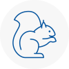 Newham Rodent Removals