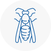 Newham Wasp Nest Removal